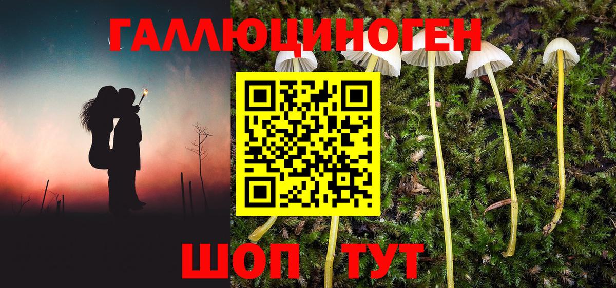 Псилоцибиновые грибы Magic Shrooms  Галлюциногенные грибы MAGIC MUSHROOMS  Вход с VPN  магазин продажи   Троицк 